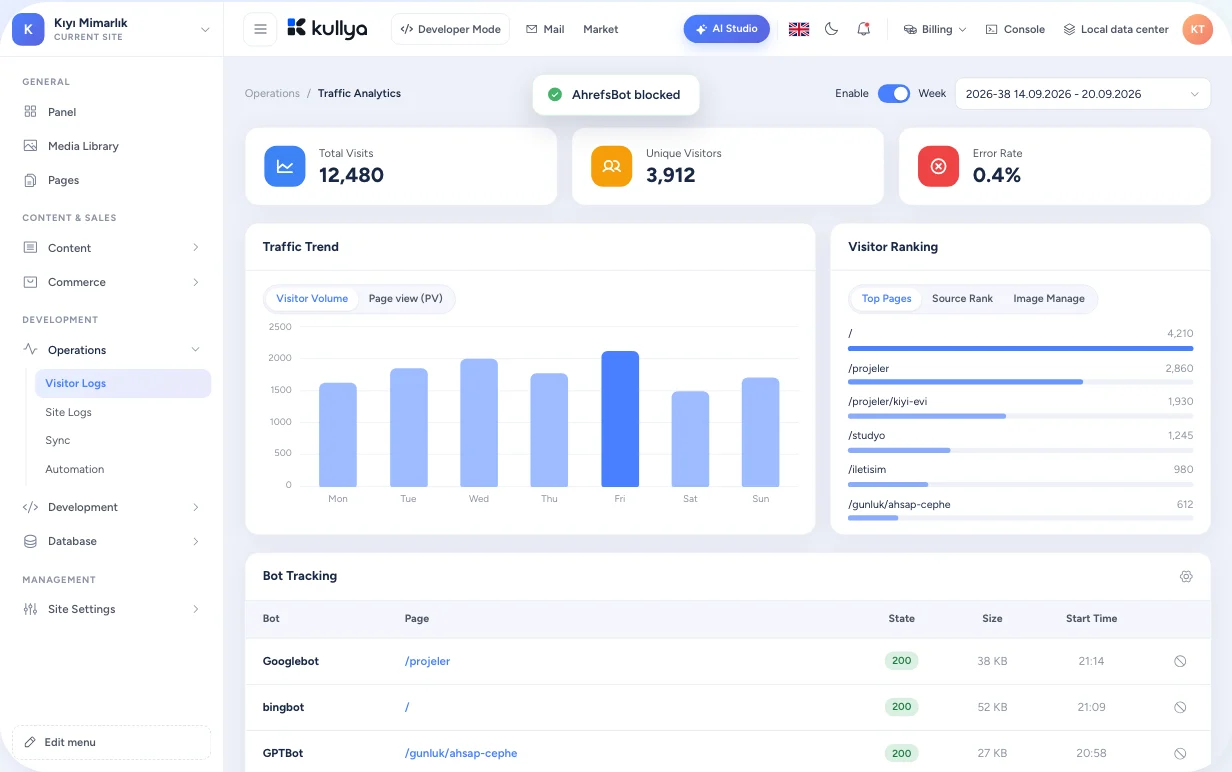 Visitor logs in the Kullya panel: weekly chart, top pages and bot list
